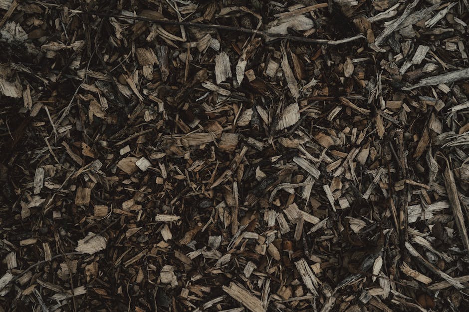 Close-up image of a pile of dark brown, weathered wood mulch composed of small, jagged wood chips and shredded bark. The mulch has a rough, uneven texture with some fibrous strands visible throughout, creating a natural, earthy appearance. The background shows more of the same material, filling the entire frame, indicating a densely packed mulch bed likely used for landscaping or garden decoration. The lighting is neutral, without harsh shadows, emphasizing the intricate detail of individual wood fragments. The natural colors and textures of the mulch highlight its use in outdoor environments, and the image may be associated with waste disposal or organic recycling practices, similar to those involved in rubbish removal services like those offered by [COMPANY_NAME]. The scene suggests a focus on organic waste handling, possibly in an area prepared for on-site clearance or eco-friendly waste management, aligning with private disposal or alternative rubbish collection options.